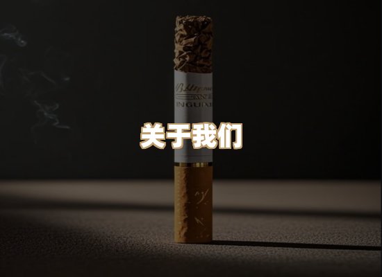 关于蓝帝网